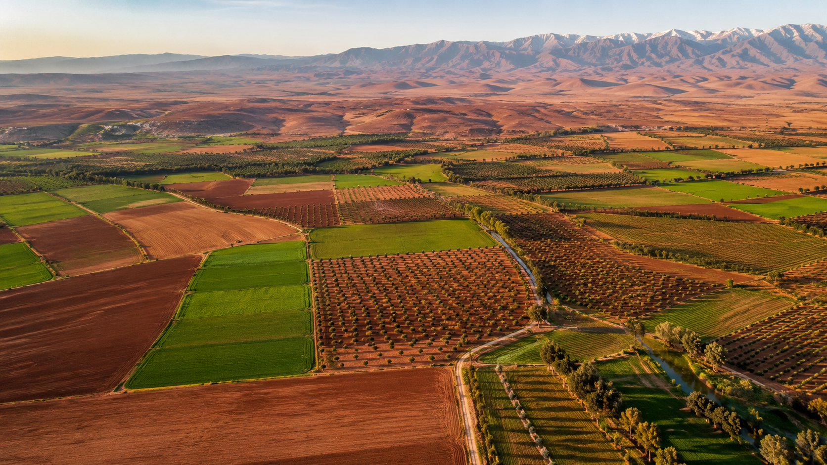 Green agricultural landscape